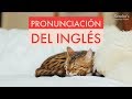 Practica la pronunciación del inglés con frases útiles y fáciles