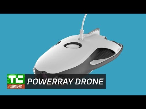 The Powerray Drone