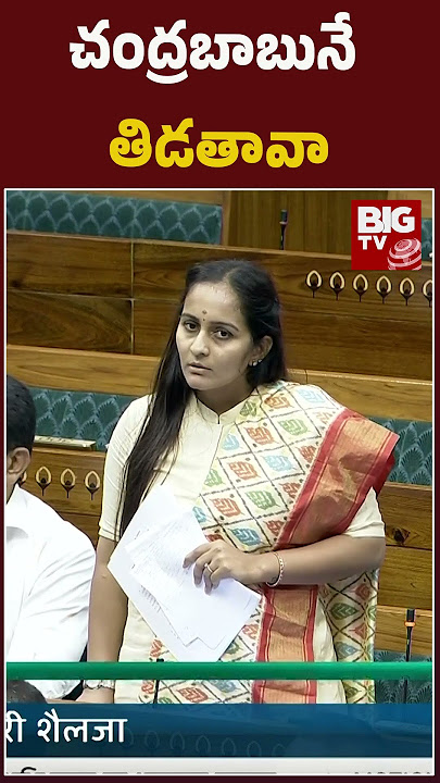 Byreddy Shabari Powerful Speech In Lok Sabha | చంద్రబాబునే తిడతావా | Congress Kalyan Banerjee |BIGTV