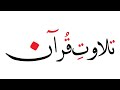 Quran ki tilawat   tilawate quran  islamic  daily yasin tv  2023