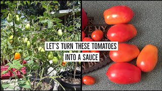Today i wanted to share how make homemade tomato sauce from scratch,
using the roma tomatoes we grew in beginning of spring. harvested so
many tomat...