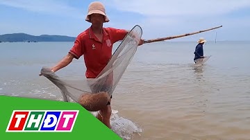 Ngư dân Quảng Bình phấn khởi được mùa ruốc biển | THDT