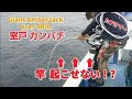 2020/05/17 カンパチ2連発160cmクラス40kg以上も   室戸 大物泳がせ釣り  愛海丸 Amberjack