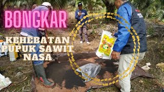 BONGKAR kehebatan pupuk sawit nasa INILAH Yang Terjadi