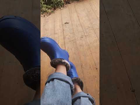 Новые лабутены загороднаяжизнь построилидомиквдеревне куры деньвдеревне