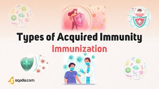 Immunization | Types of Acquired Immunity