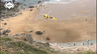 2021.04.28 Rescate del toro "Bolero" en la playa de La Carnera en #Ferrero #Gozón.