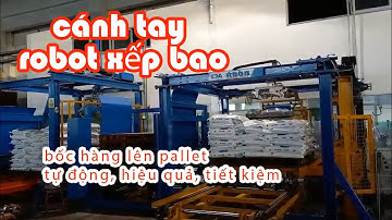 ROBOT XẾP BAO LÊN PALLET - CÁC HỆ THỐNG XẾP BAO TẠI NHÀ MÁY THỨC SX THỨC ĂN GIA SÚC