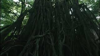 ADZAN SUBUH ANTV 2023