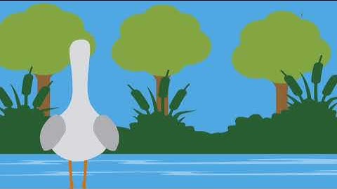 Video Corto Animado en After effects