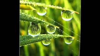 ADA Band - Tak Bisa Lagi Menyayangmu