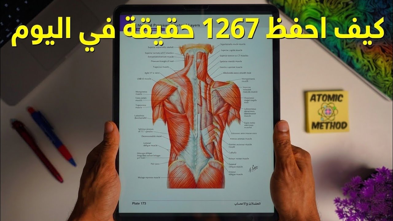 إزاي تحفظ المعلومات أسرع 3 مرات في 7 أيام (من طالب طب)