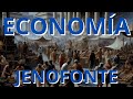 Jenofonte - Económico