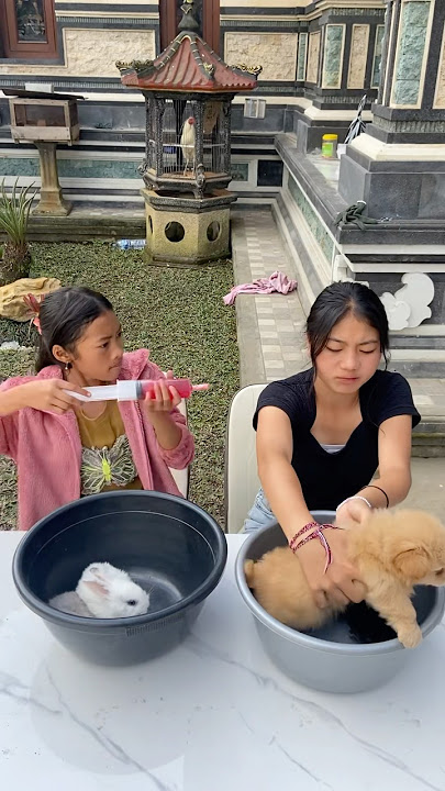 CITRA N4NG1S GARA2MAU DI AVNT1k