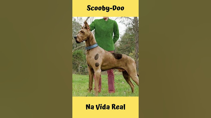 SCOOBY-DOO NA VIDA REAL #Shorts