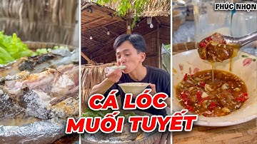 Món Cá Lóc Nướng Muối Tuyết Cùng Nhọn – Siêu Ngon, Mùi Hương Ngất Ngây!  | Phúc Nhọn