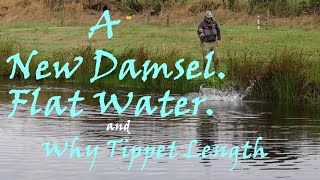 Great Flies for Trout, The Damsel Fly, Learn Fly Fishing.