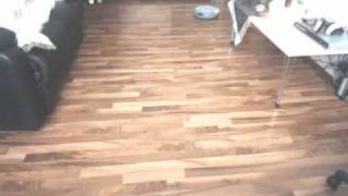 cleanmate-elutuba.wmv