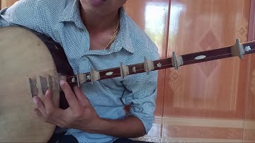 Học đàn nguyệt đơn giản