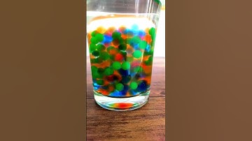 Regular Water Beads | Miracle Properties of Colorful Water Gel Balls | #shorts #science