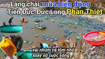 PHAN THIẾT | LÀNG CHÀI TIẾN ĐỨC ĐỨC LONG Mùa Biển Động | Khu Biển Xâm Thực Giờ Ra Sao ?