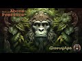 Dub  reggae groovy ape mix 117