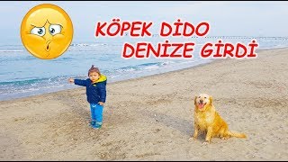 KÖPEK İLE SAHİLDE YÜRÜYÜŞ | KÖPEK DİDO DENİZE GİRDİ | KRAL DENİZ VE DİDO | ÇOCUK VİDEOLARI