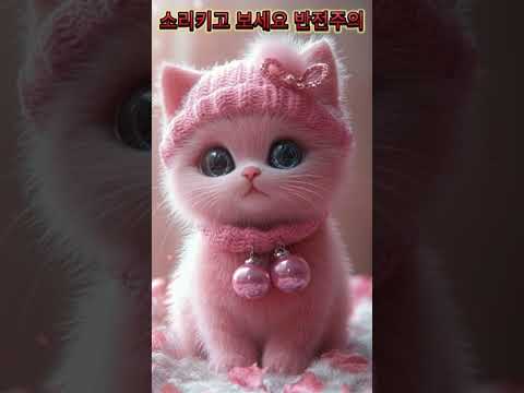 #PlotTwist #SurpriseEnding #Kitten #Unexpected #ViralShorts #FYP #ForYou #AnimalLover #Shorts