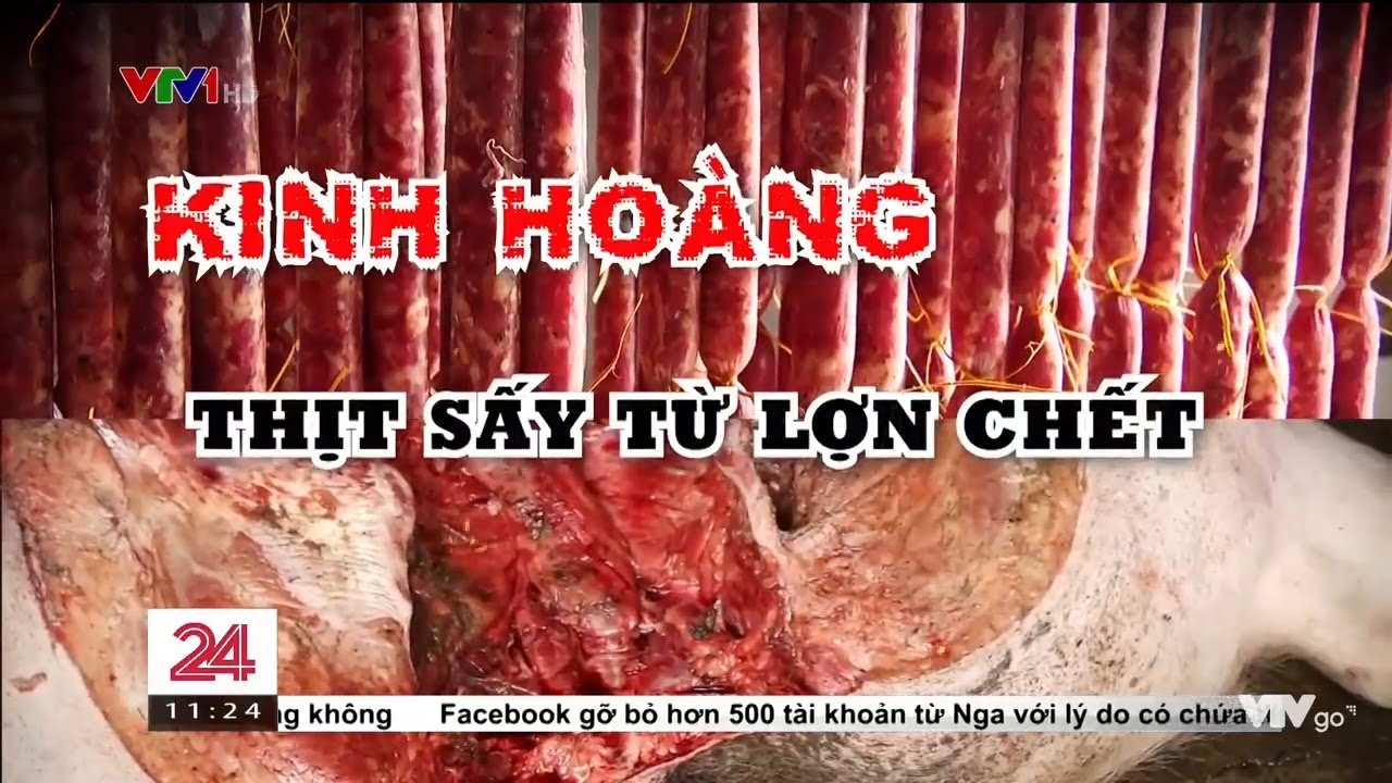 Bình luận 'Hô biến' lợn chết sấy khô thành món đặc sản thơm phức | VTV24