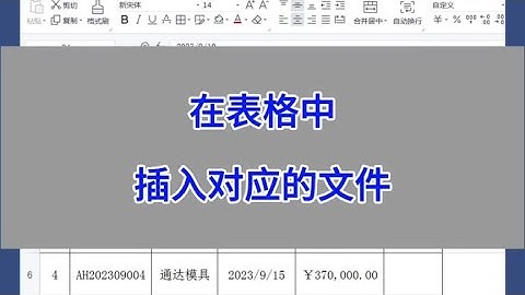 WPS Excel：在表格中插入对应的文件。#wps #excel #办公技巧