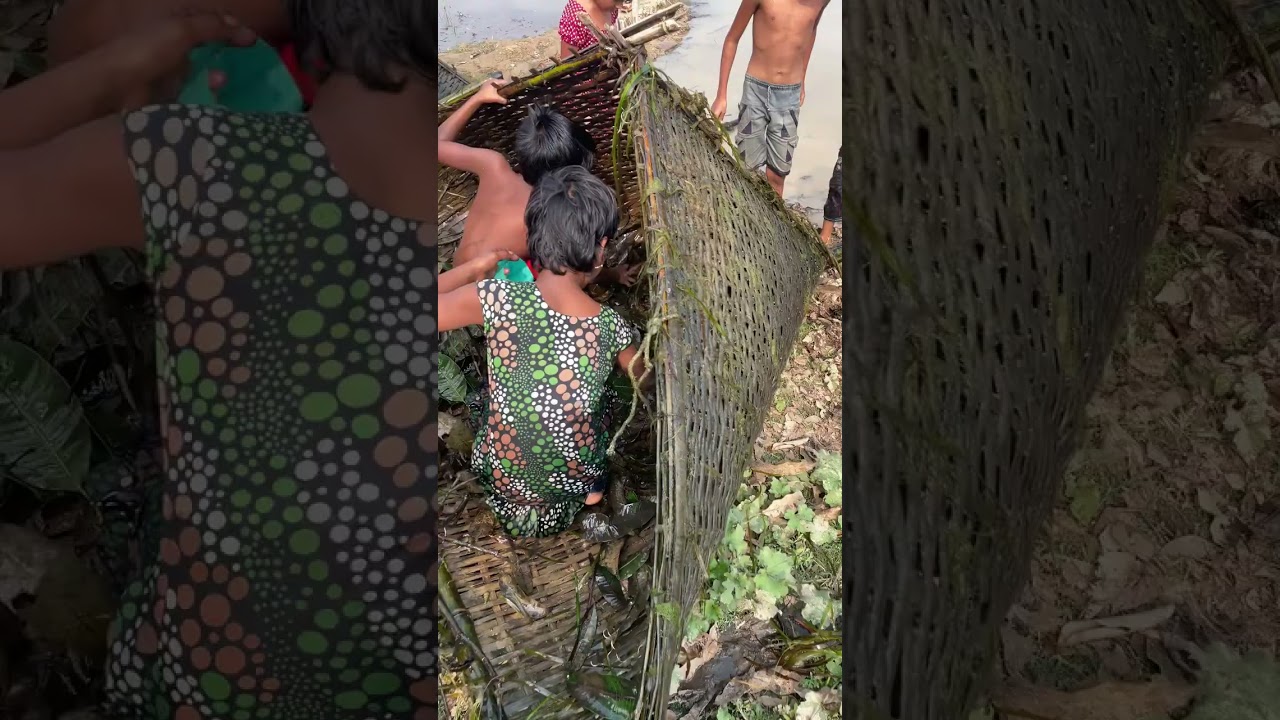 Fishing in Frozen Lakes: What You Need to Know!