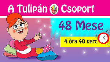 ✨🌷 Tulip Group – 48 Preschool Stories in One Video | Full 4h Compilation 🌷✨