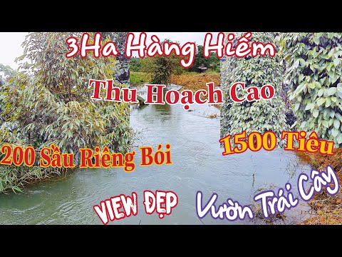 NHÀ RỘNG + 3Ha VIEW SUỐI ĐẸP VƯỜN CÂY ĂN TRÁI SUỐI BAO QUANH thu hoạch cao mát mẻ như Đà Lạt 2,6Tỷ