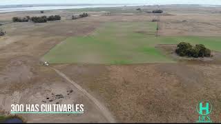 HUS INVERSIONES - 400HAS EN BONIFACIO