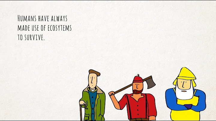 The Decline of Ecosystems and why it matters