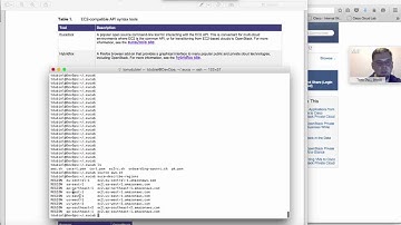 Metapod Launching VMs in Cisco OpenStack Private Cloud using the AWS compatible API