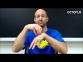Animals | ASL - American Sign Language