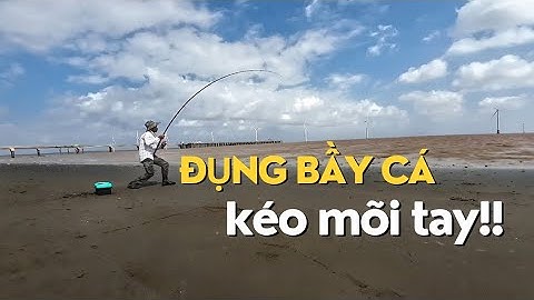 Hú Hồn! Vừa Ném Mồi, Dính Ngay Bầy Cá Lớn KÉO SẬP Cần Câu Ở Biển Điện Gió!