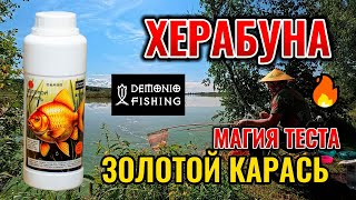видео: Рыбалка на Херабуну в августе. Тесто  картинка: Рыбалка на Херабуну в августе. Тесто