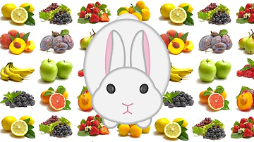 Quel fruit mange un lapin nain ?