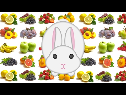 Vidéo: Manger Des Lapins Décoratifs