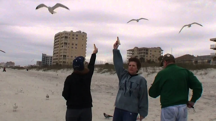 New Years Day 2015 Dawn & Rachel Lytle feeding the...