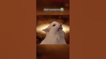 My disappointment is immeasurable and my day is ruined. | DBD MOMENTS |