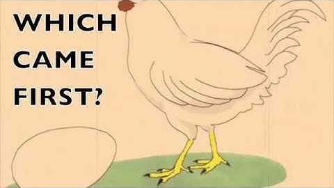 LA101H Video Project