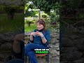 ¿Éxito Instantáneo Mito vs Realidad del Emprendimiento
