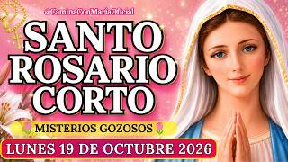 Short Holy Rosary TODAY 🌷 JOYFUL MYSTERIES ✨ Monday, October 19 💖 Our Lady of the Rosary