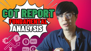 How To Use COT Report In Forex Trading