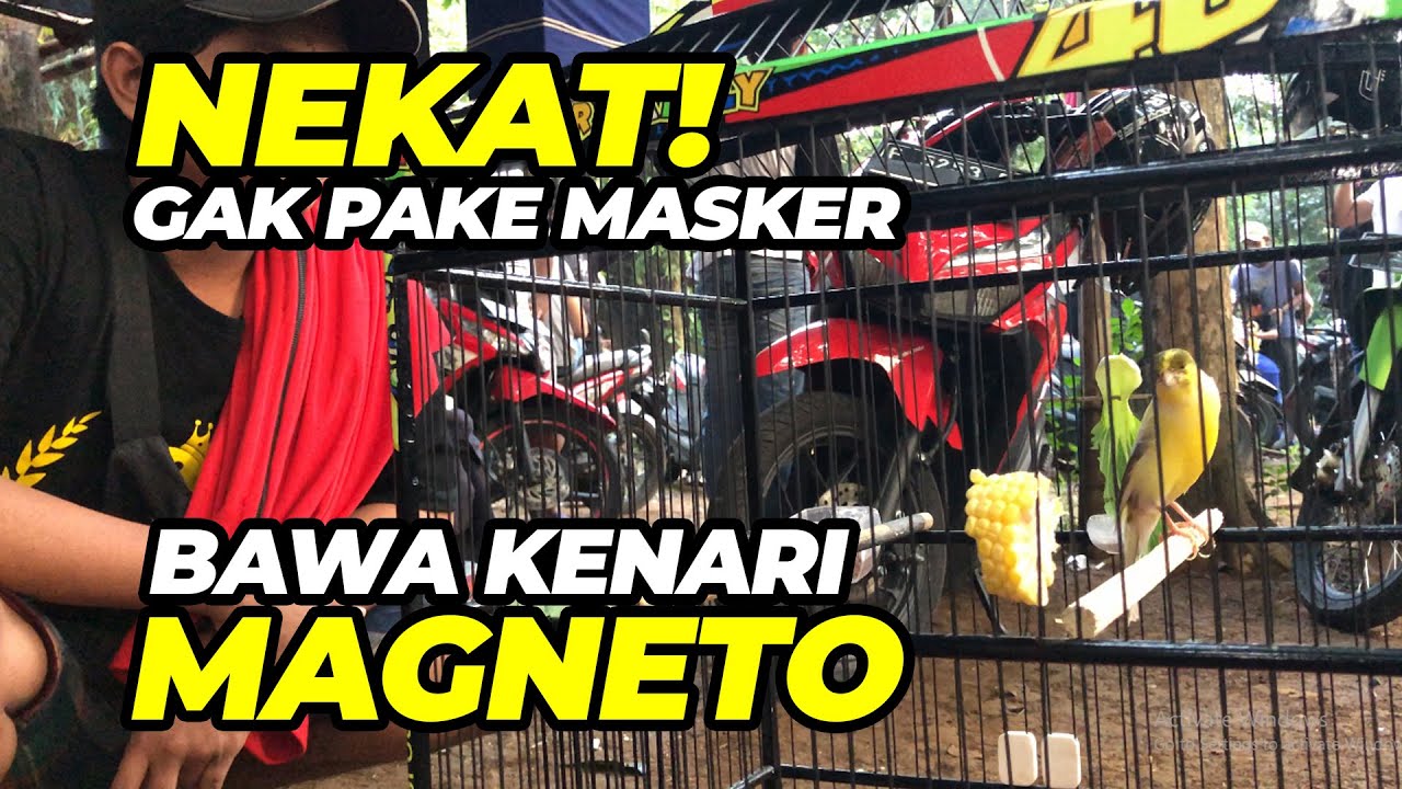 Gak Pake Masker NEKAT KE BOGOR Gantang Kenari MAGNETO - YouTube