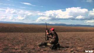 Extreme Outer Limits Tv - Long Range Wyoming Antelope