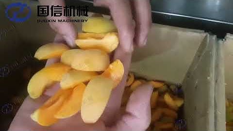 How to  do half split and plum/apricot  pitting machines -both automatic and semi automatic?